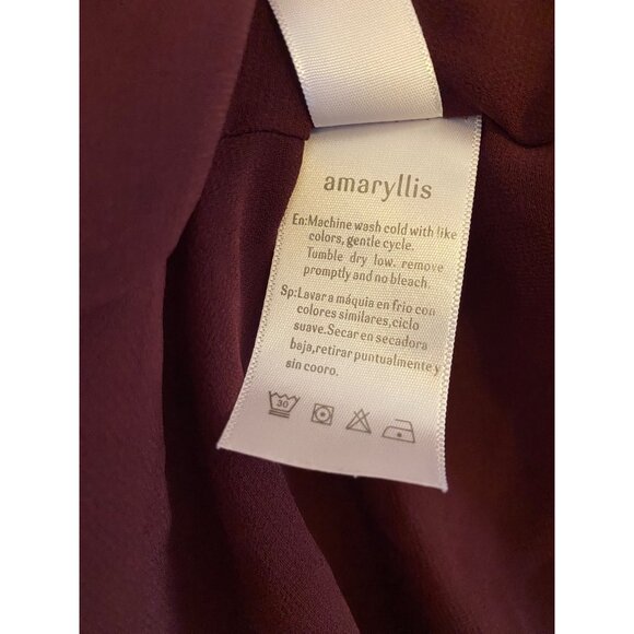 Amaryllis Burgundy Swiss Dot Long-Sleeve V-Neck Chiffon Babydoll Dress XL - Picture 6 of 7